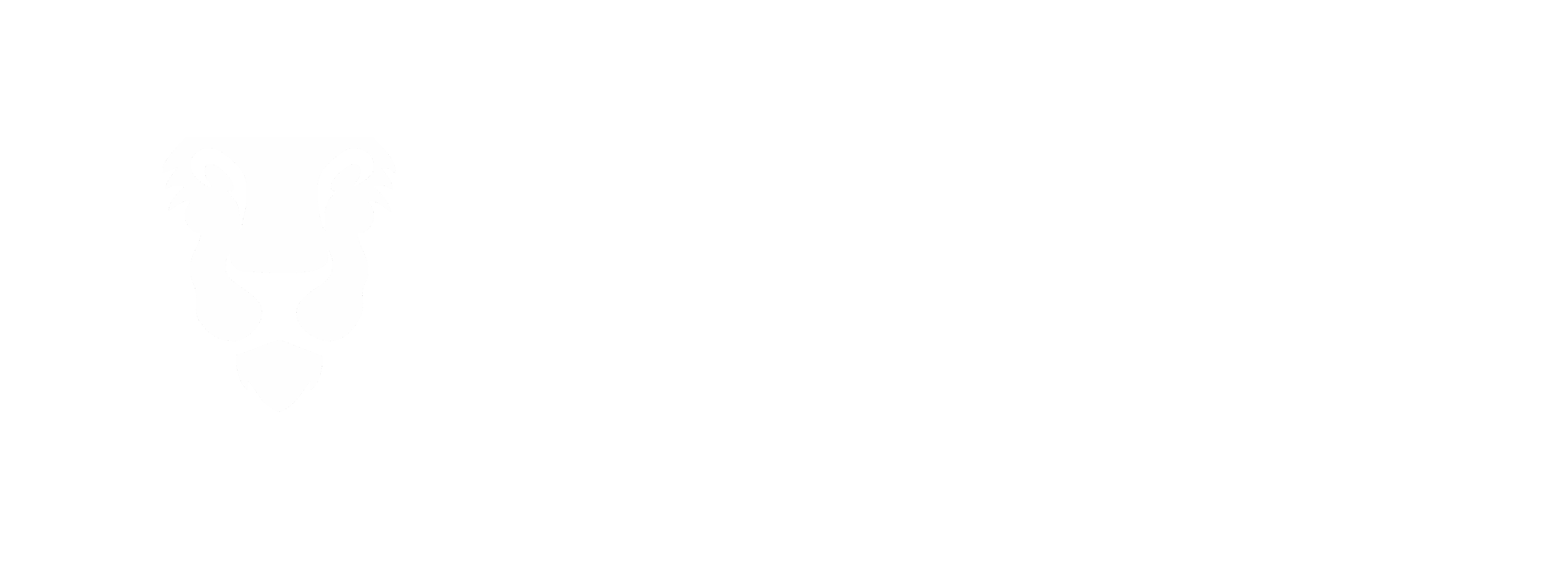空白样板